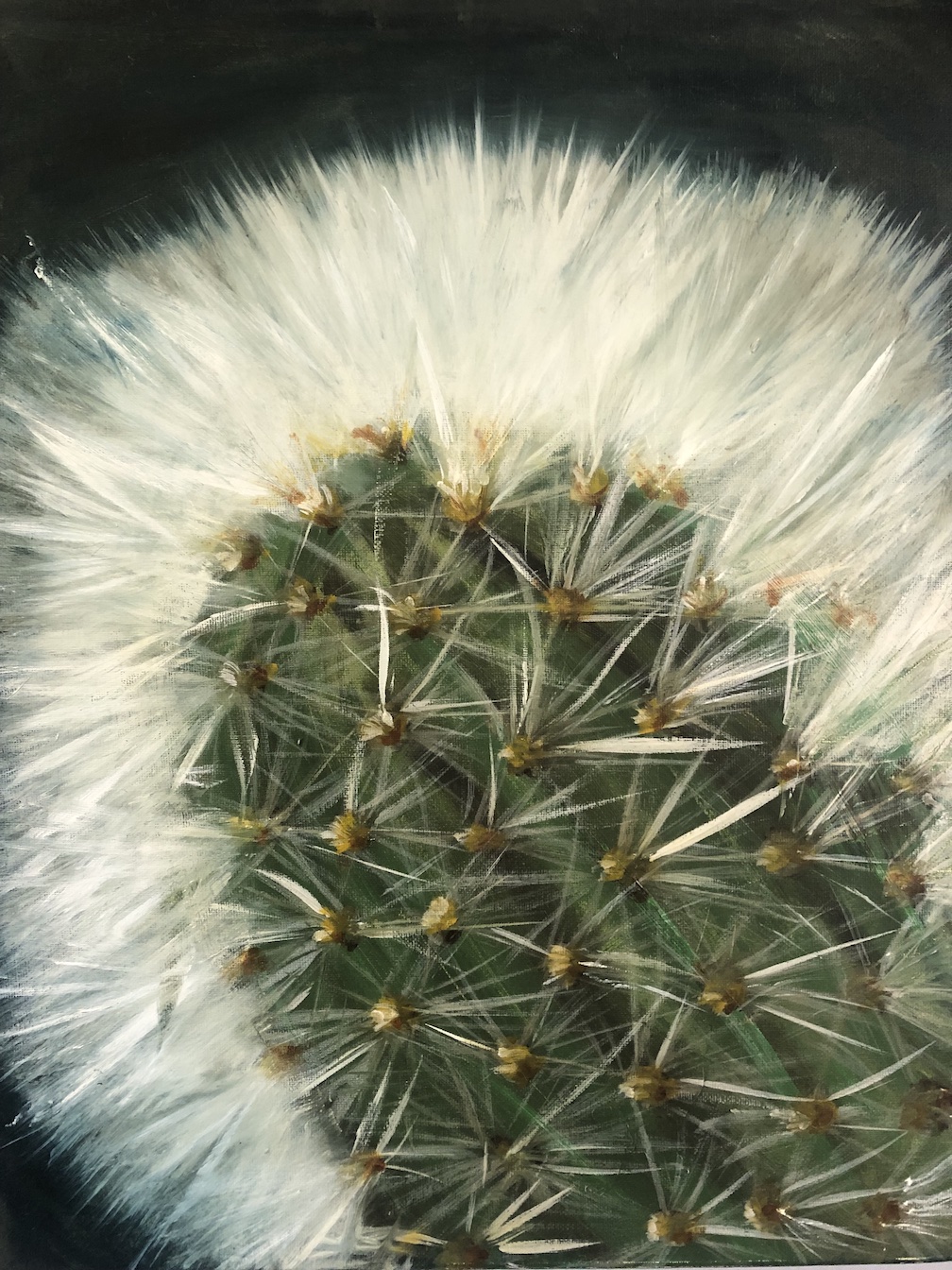 Cactus